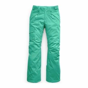 The North Face XS Freedom Ski Pants